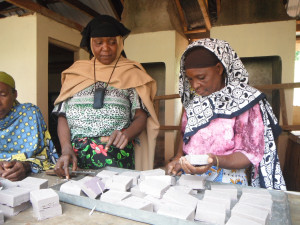 Women's microfinance